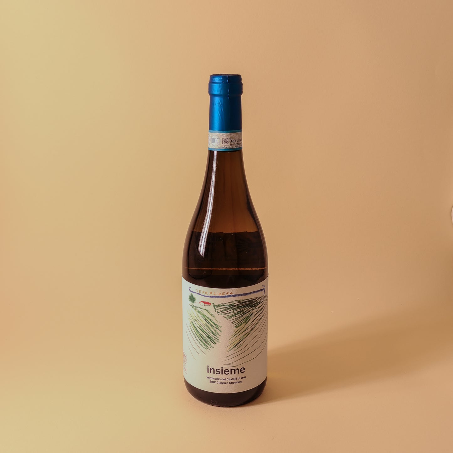 2023 Terralibera, Verdicchio dei Castelli di Jesi Classico Superiore, Insieme