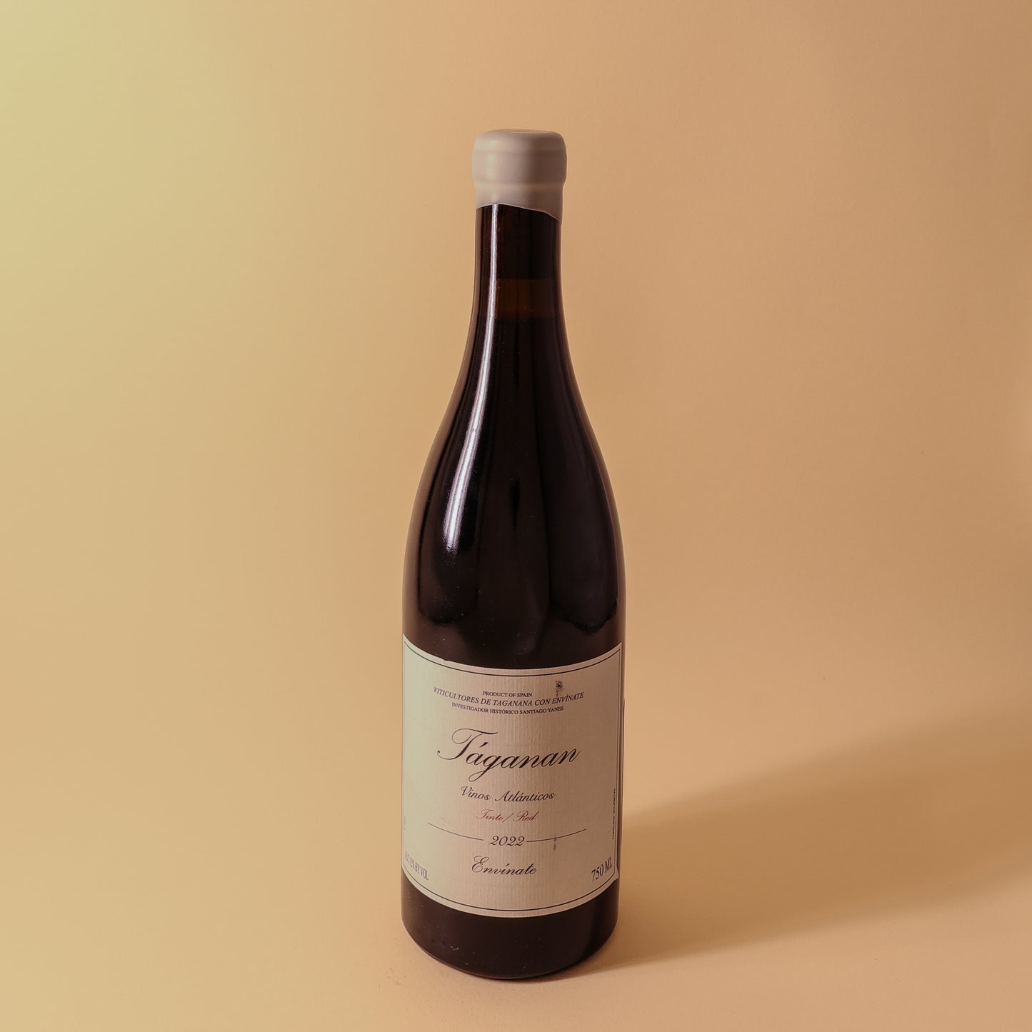 2022 Envinate, Tenerife, Taganan Tinto