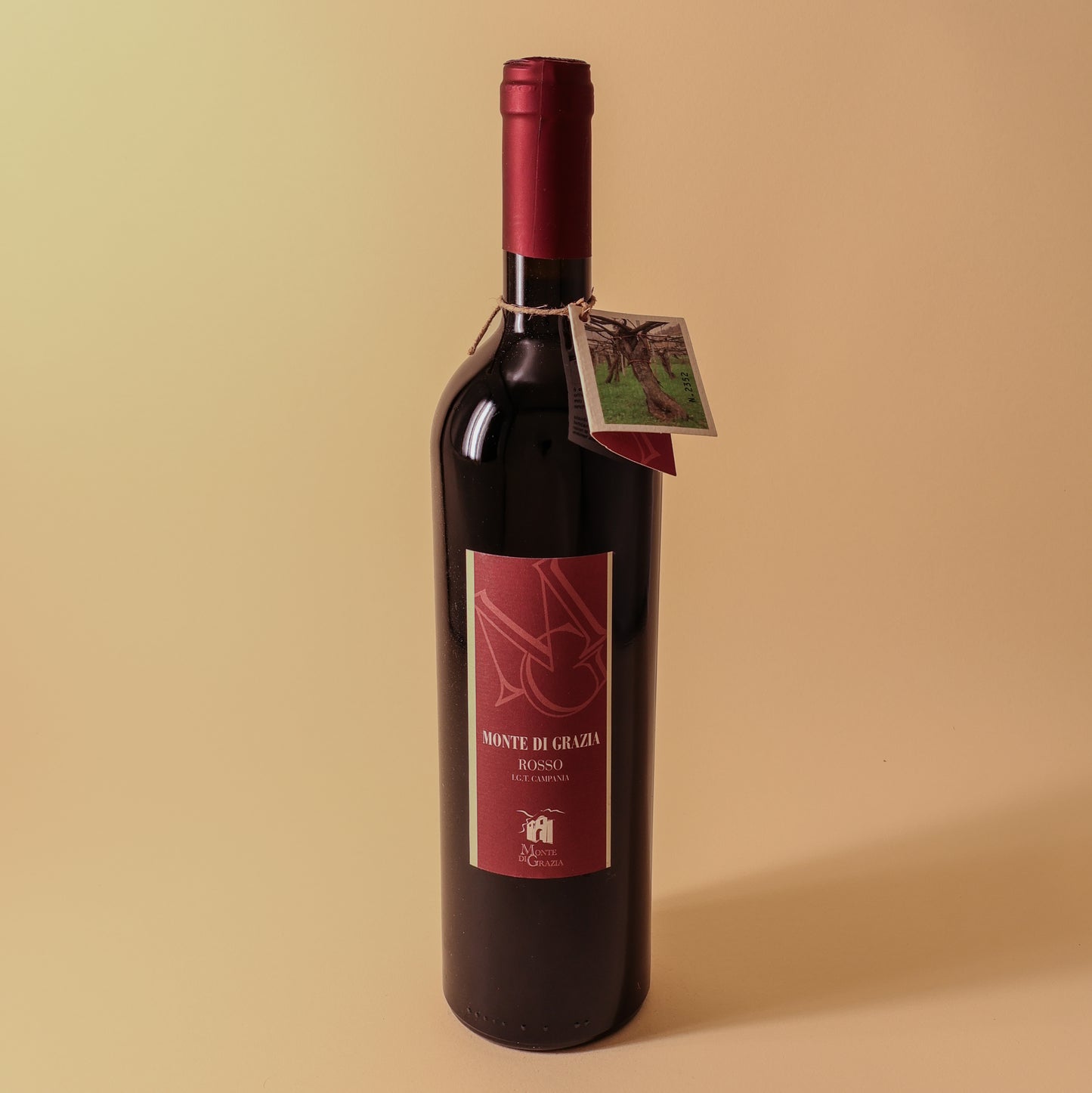 2017 Monte de Grazia, Melogna, Campania