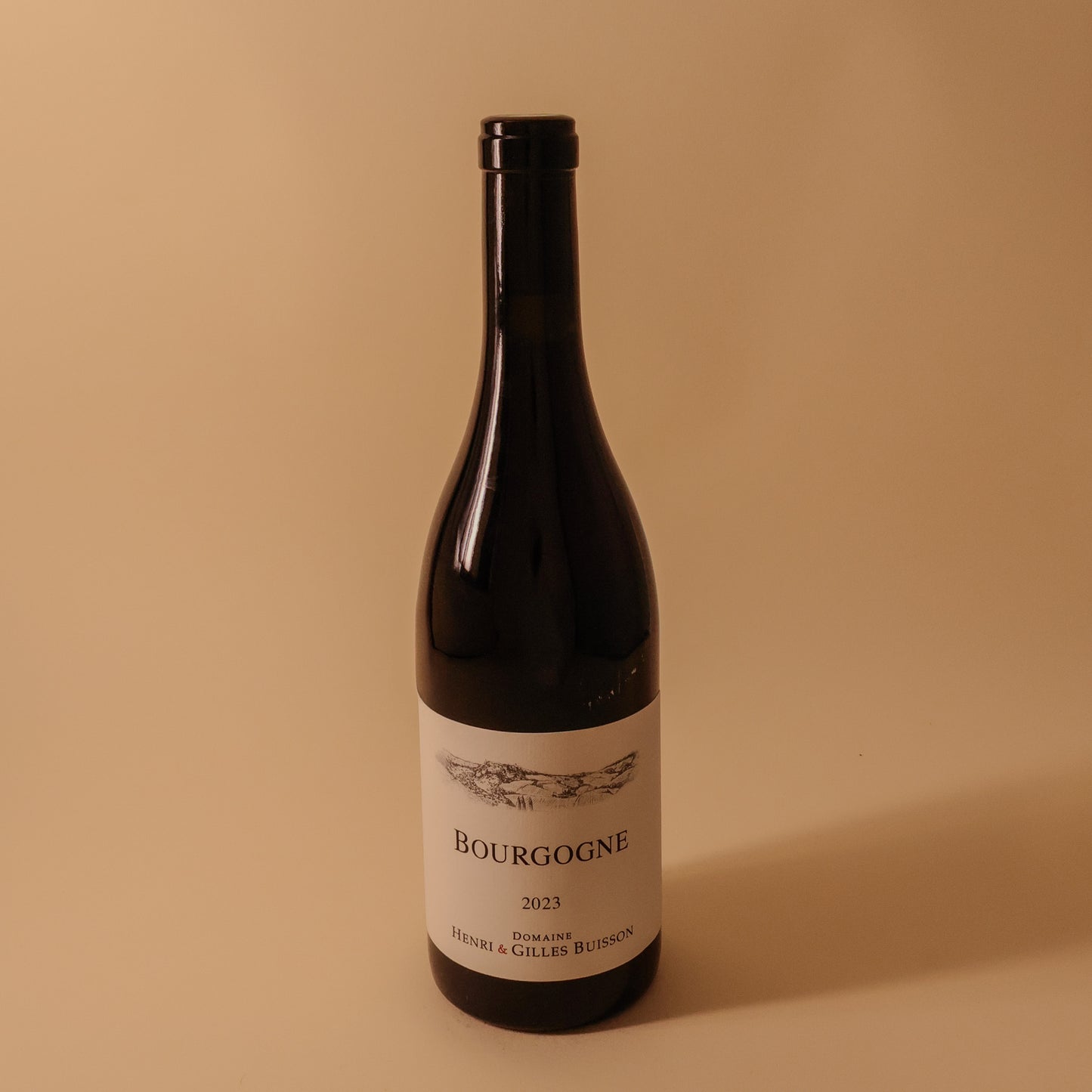 2023 Domaine Henri & Gilles Buisson, Bourgogne Rouge