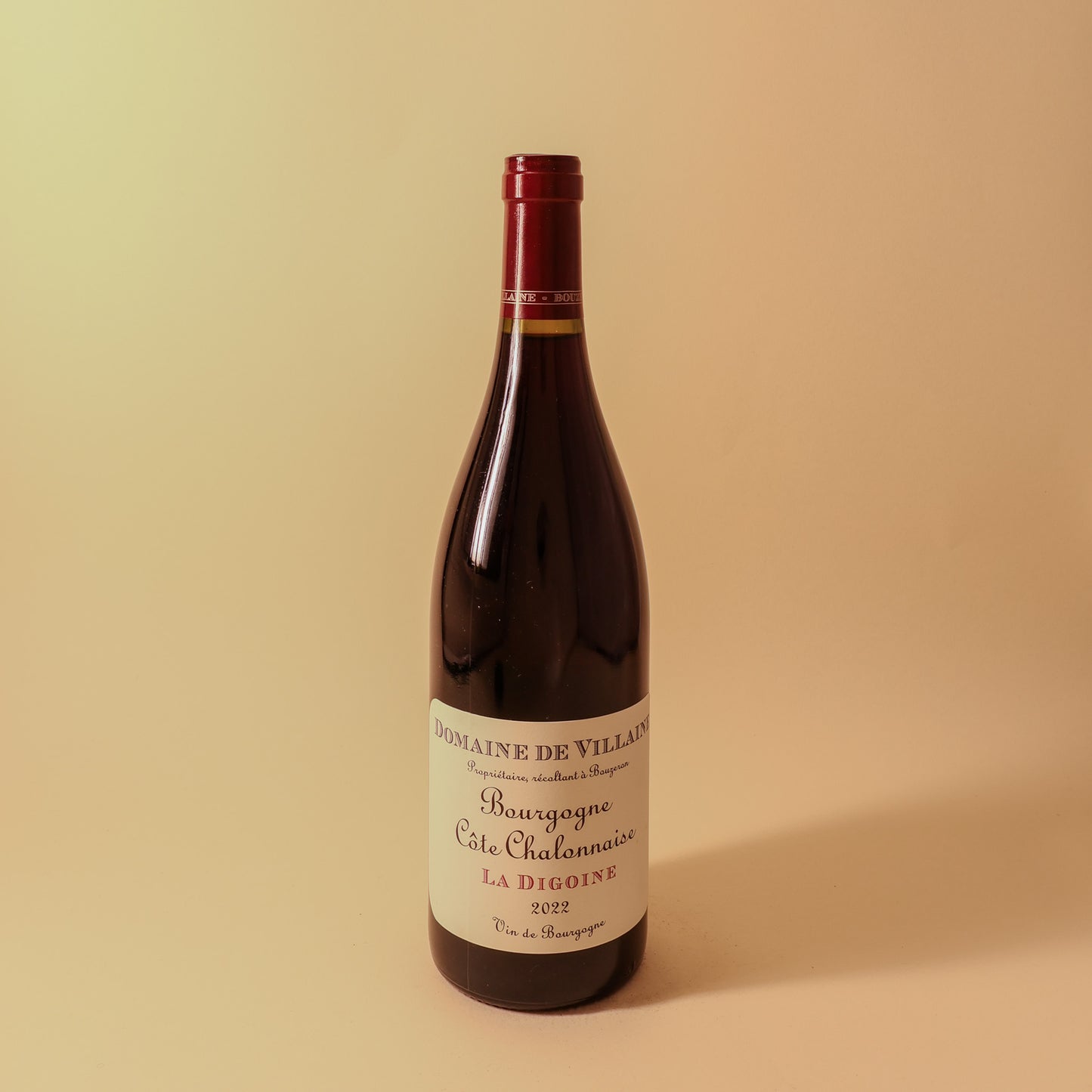 2022 Domaine de Villaine, Bourgogne Cote Chalonnaise, La Digoine