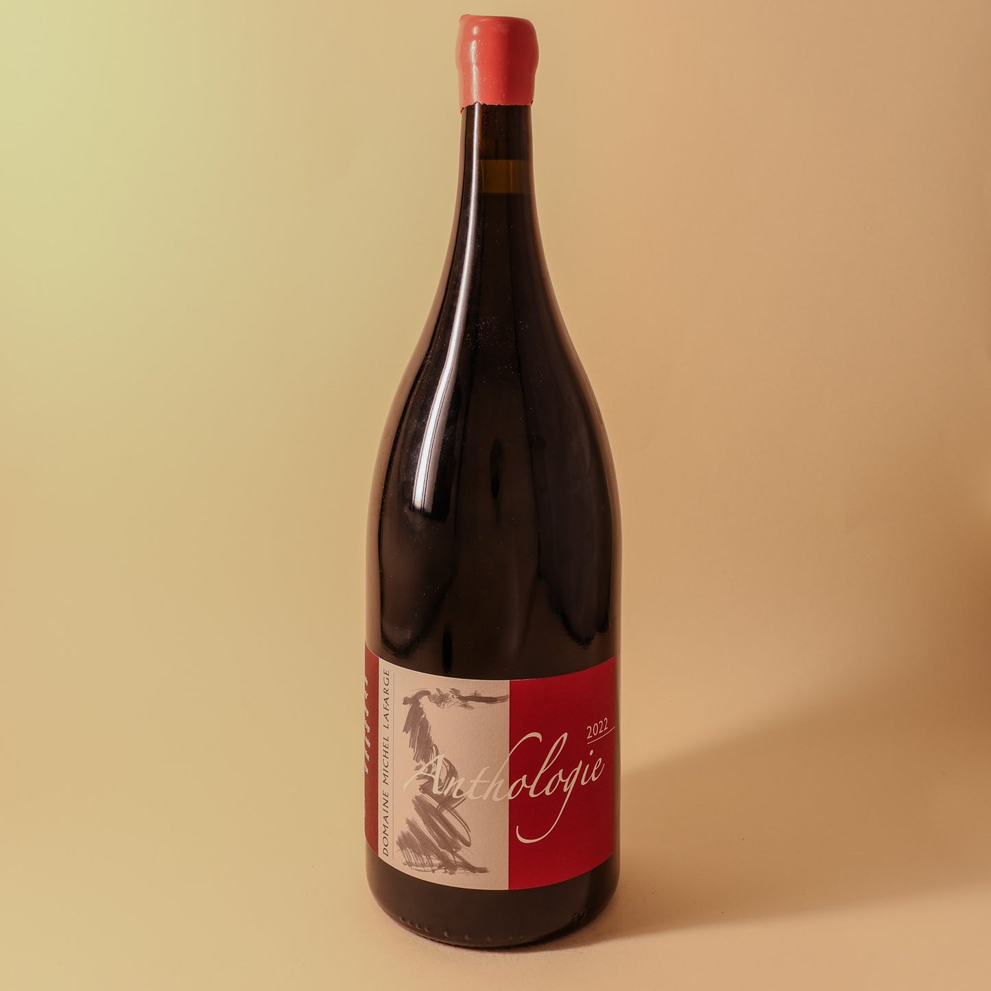 2022 Domaine Michel Lafarge, Bourgogne Passe-tout-grains, L'Exception Anthologie - Magnum