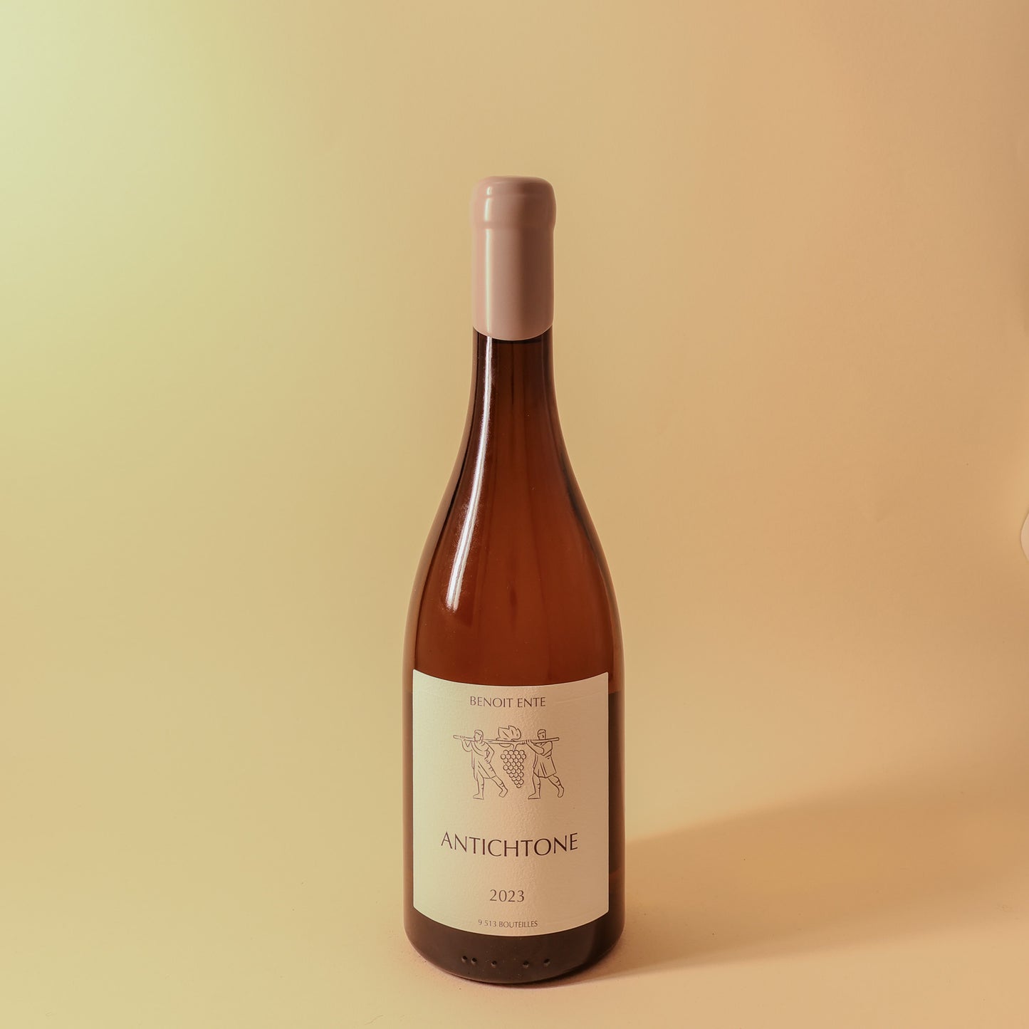 2023 Benoit Ente, Bourgogne Aligote, Cuvee Antichtone