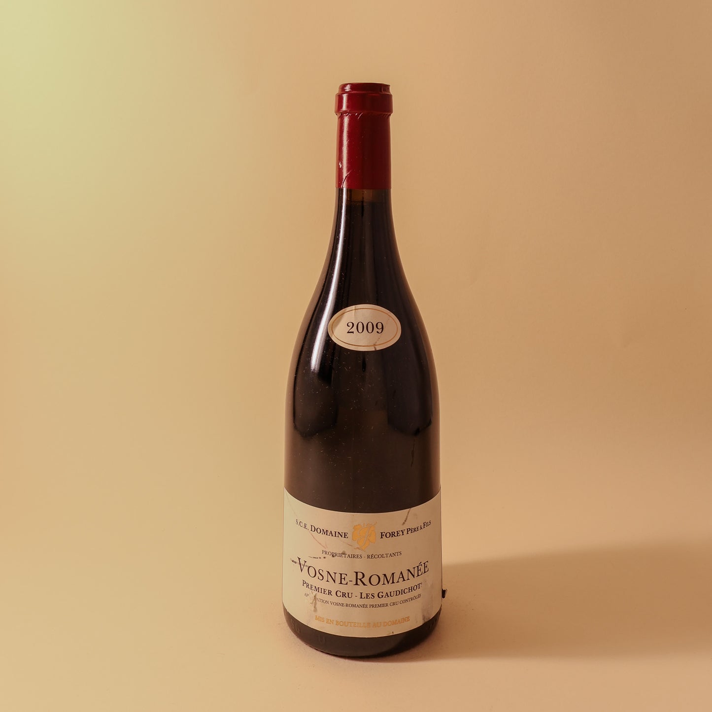 2009 Domaine Forey Pere & Fils, Vosne-Romanee Premier Cru, Les Gaudichots