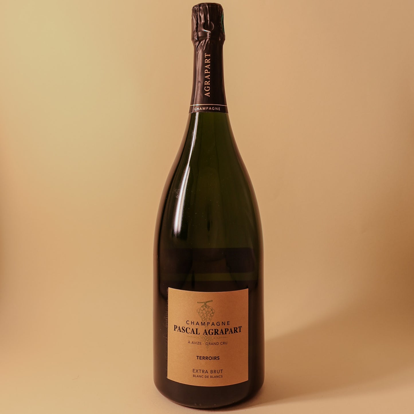Agrapart & Fils, Champagne, Blanc de Blancs Grand Cru, Terroirs Extra Brut (19/20/21) - Magnum