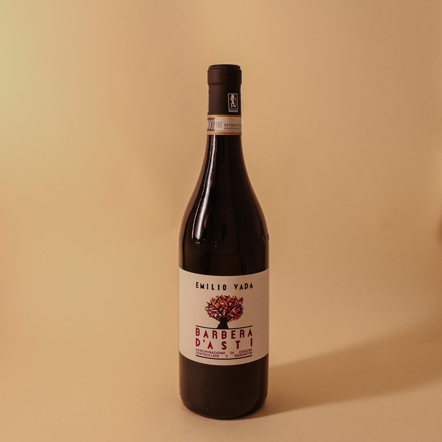 2022 Vada, Barbera d'Asti