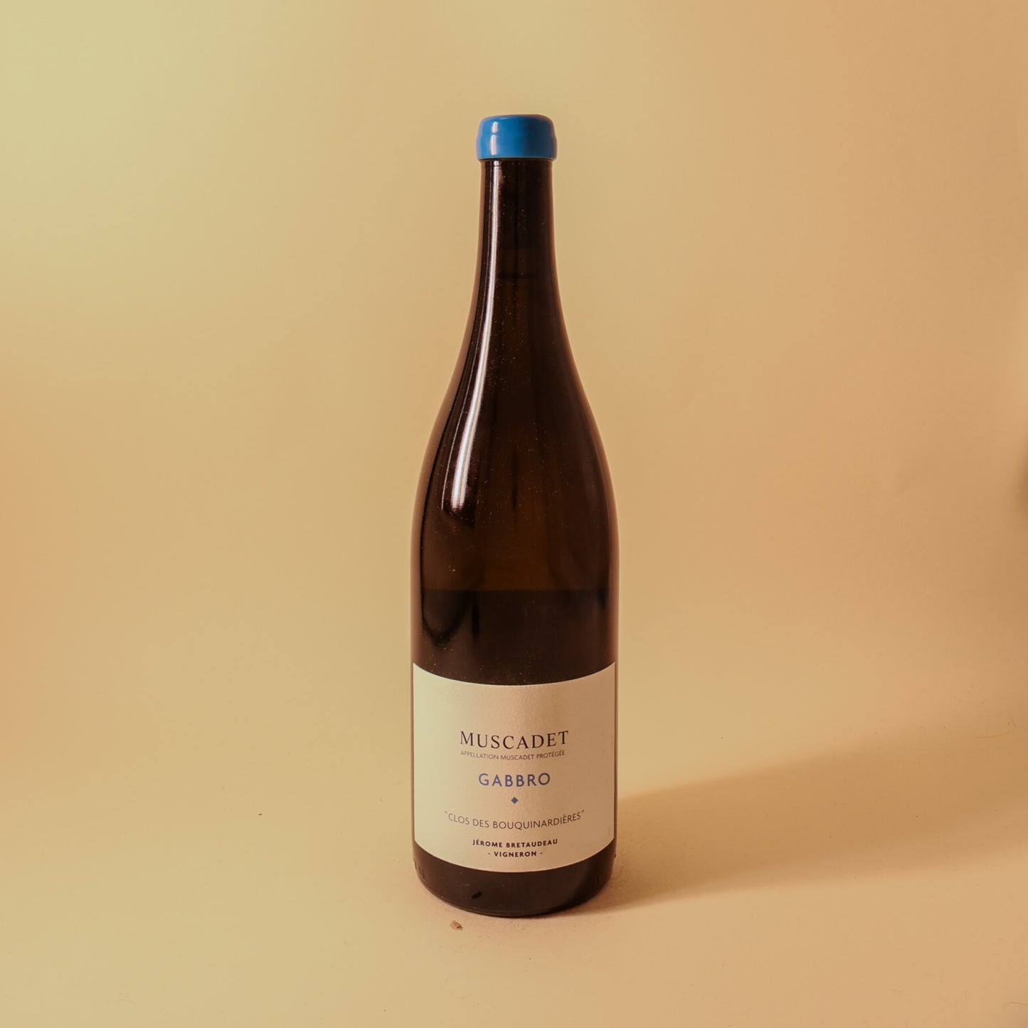 2018 Domaine de Bellevue (Jerome Bretaudeau), Muscadet, Gabbro Clos des Bouquinardieres