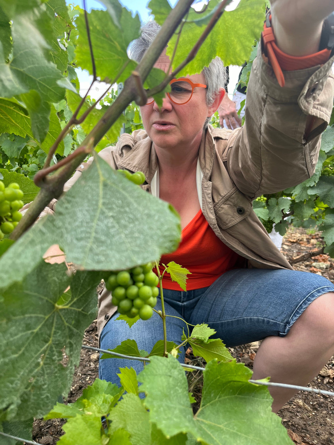 Champagne from Ledru’s Successor, Filaine’s Protégé and Corbon’s Stellar Terroir in Avize