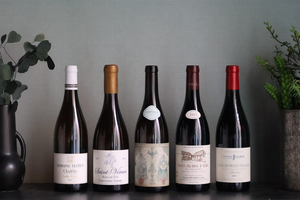 Wine Class: Beginners Guide to Burgundy: 4/30