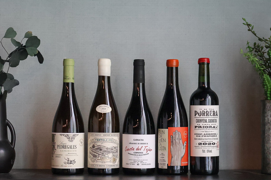 Wine Class: Exploration of Spain: 5/28