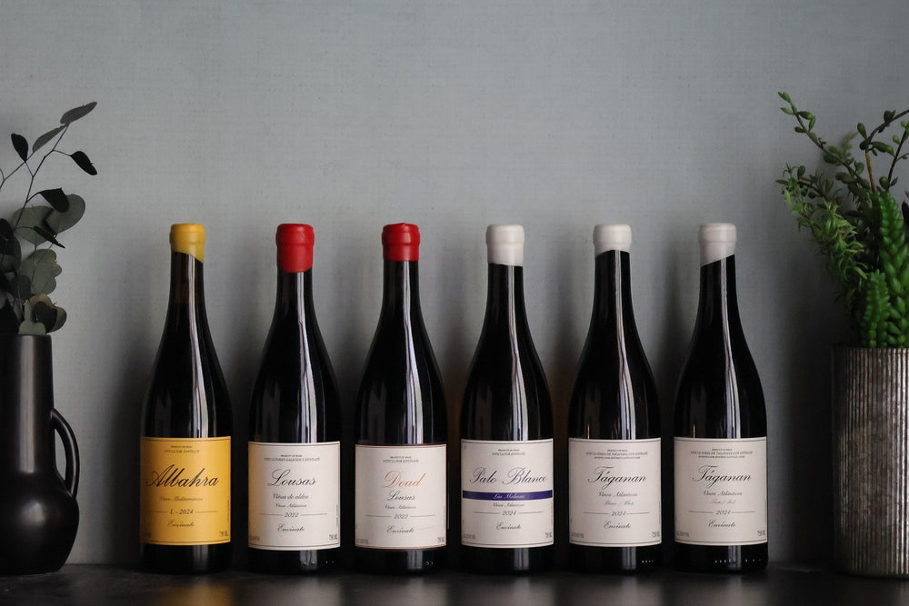 2024 Envínate: Open, Expressive and Delicious