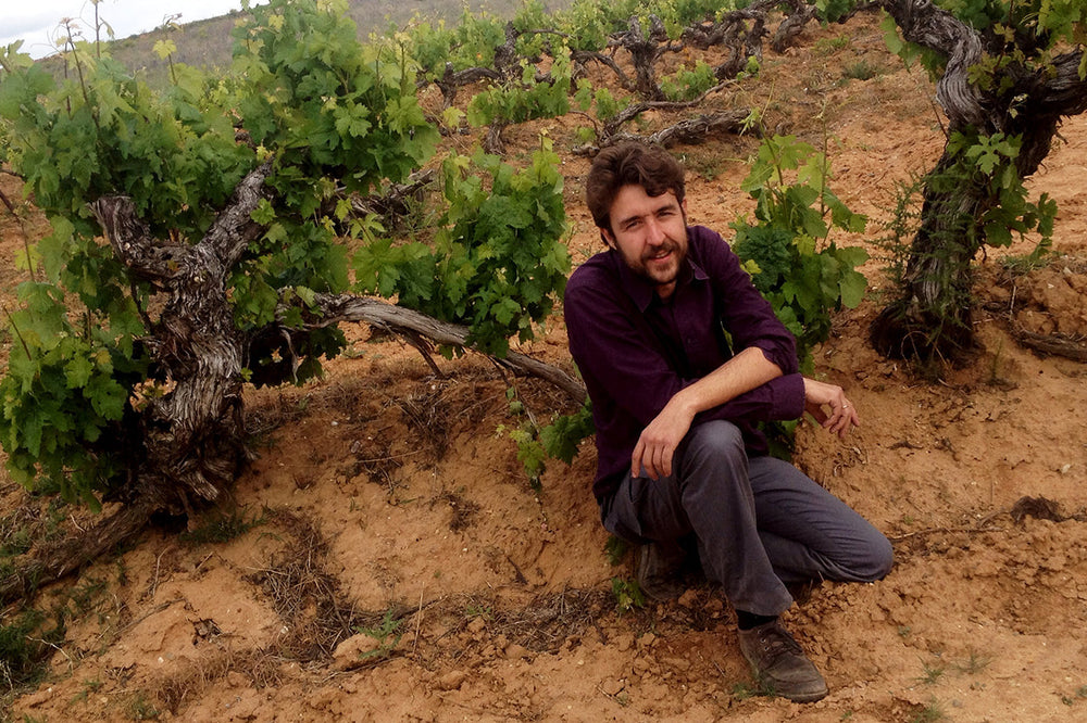 Dominio del Águila: A Man Trying to Preserve Heritage & Tradition in Ribera del Duero