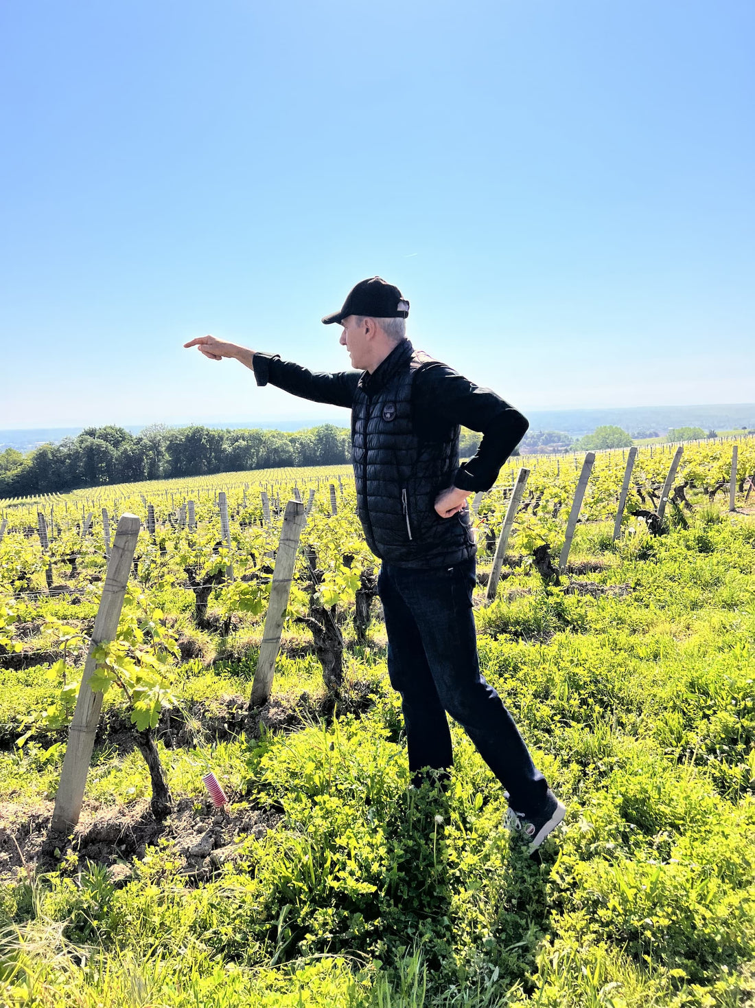 Christophe Thibert at Domaine Thibert