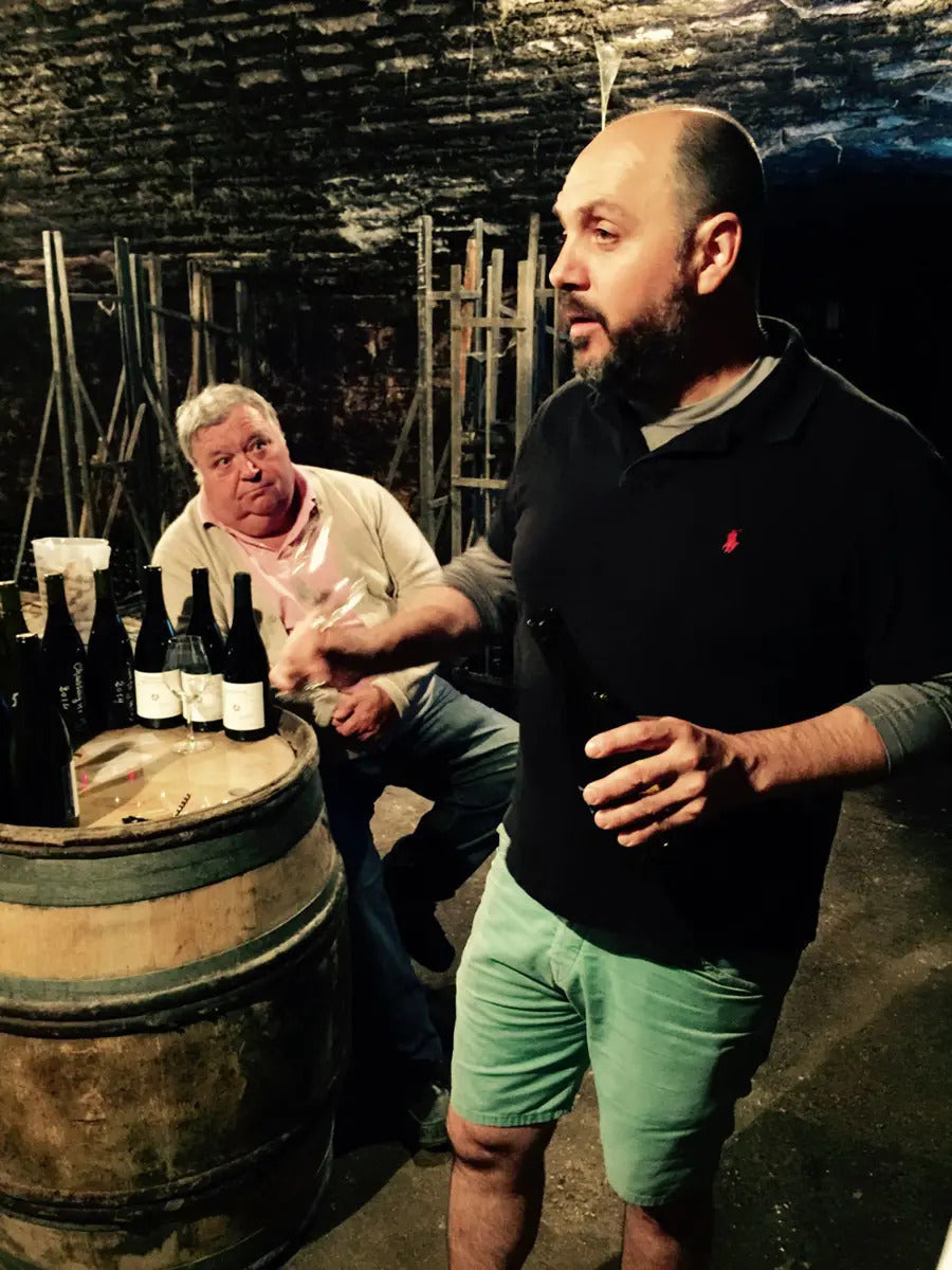 Sylvain Morey 2023: Old Vines, Singular Parcels, Limited Allocation