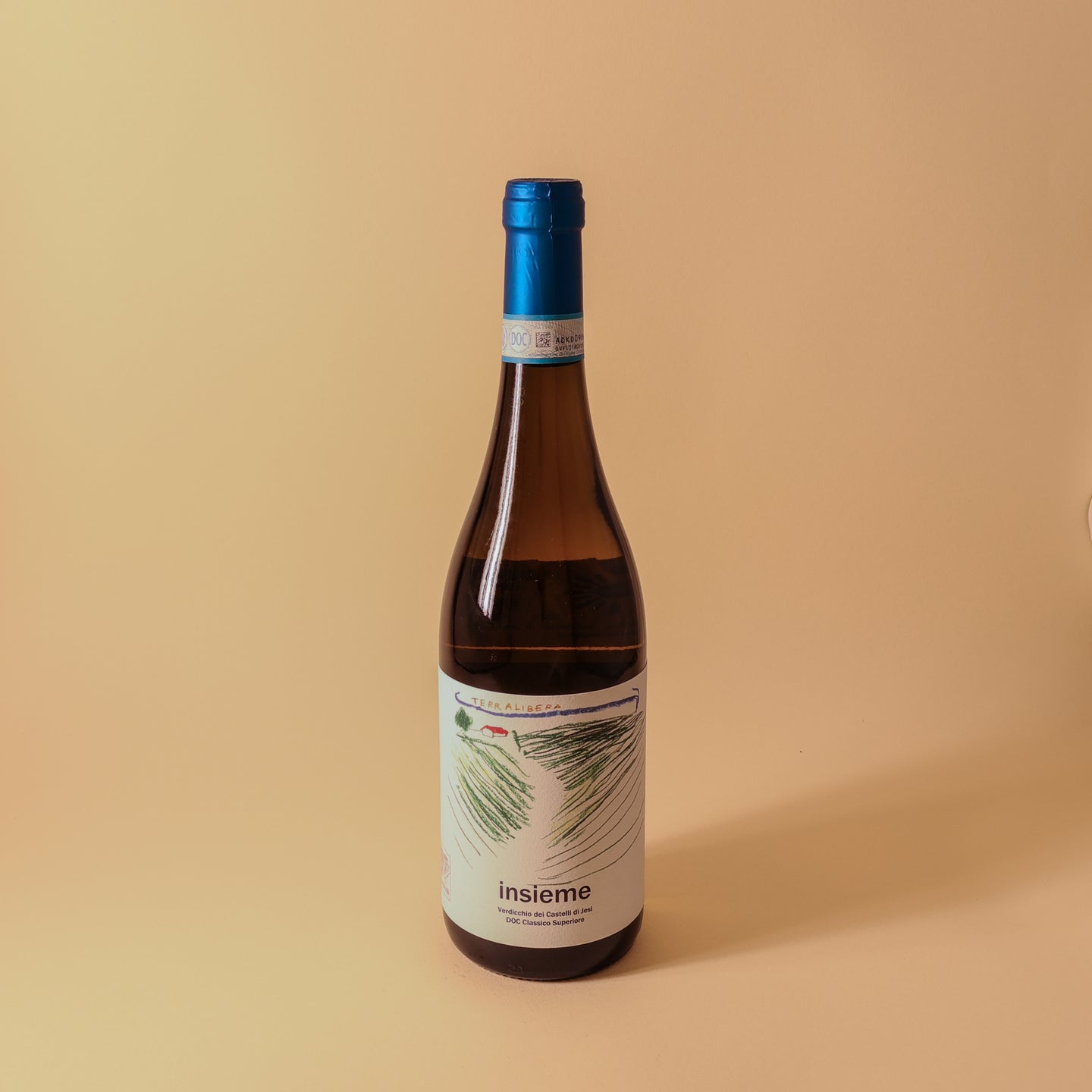 2023 Terralibera, Verdicchio dei Castelli di Jesi Classico Superiore, Insieme