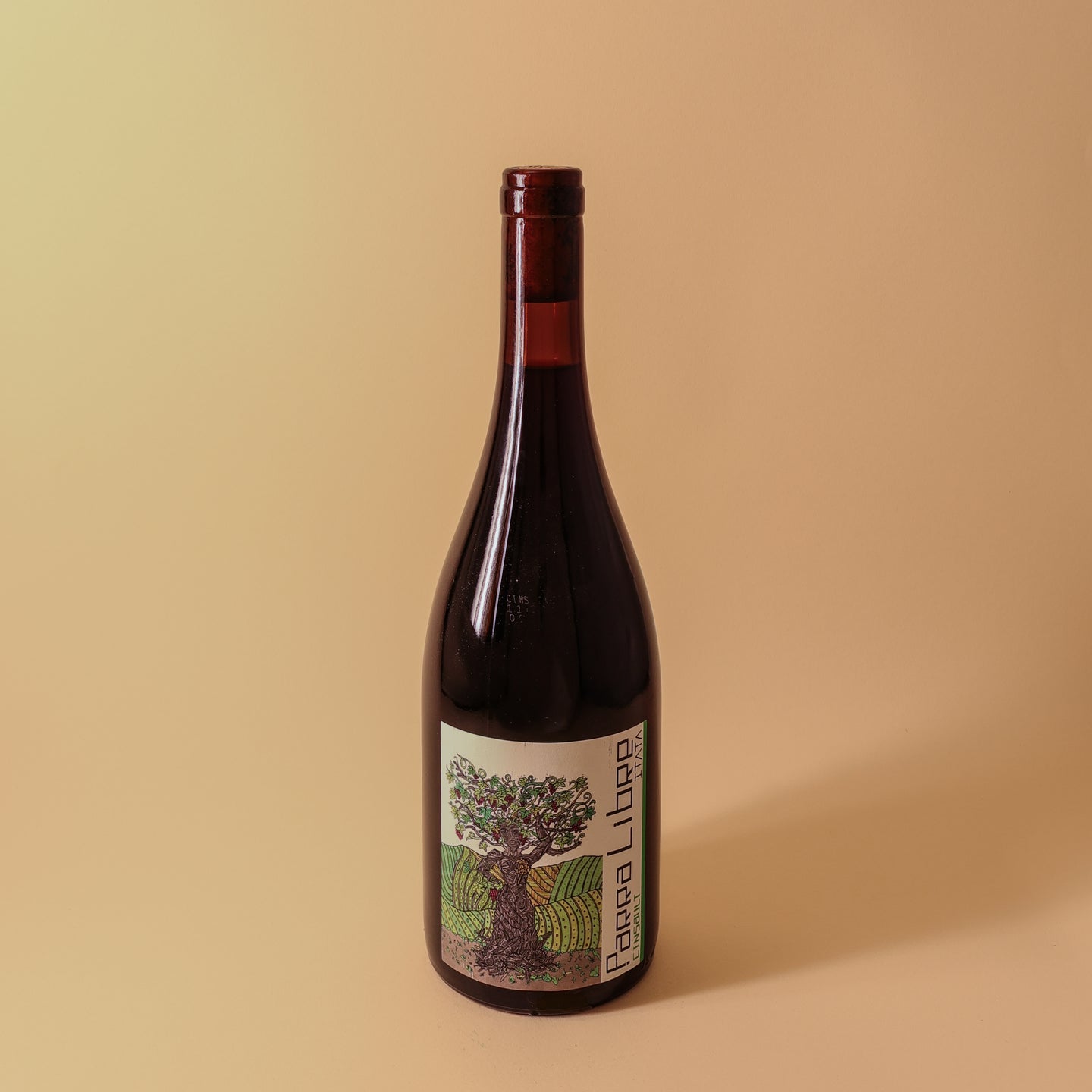 2022 Chodin Param, Cinsault, Itata Valley, Parra Libre