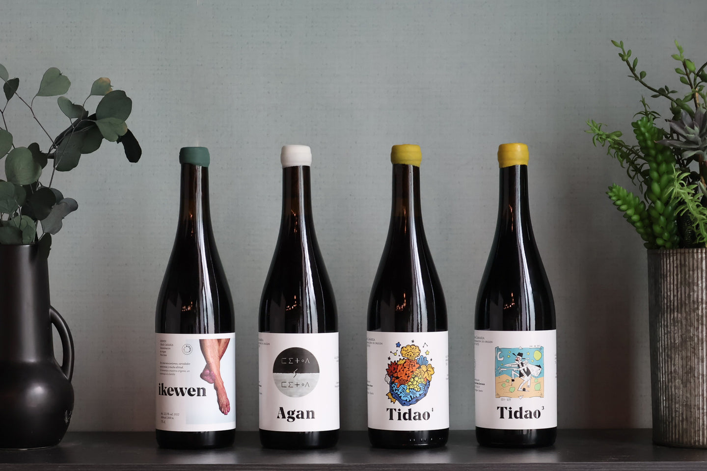 Wine Class: With Winemaker Carmelo Peña Santana of Bien Altura in Gran Canaria