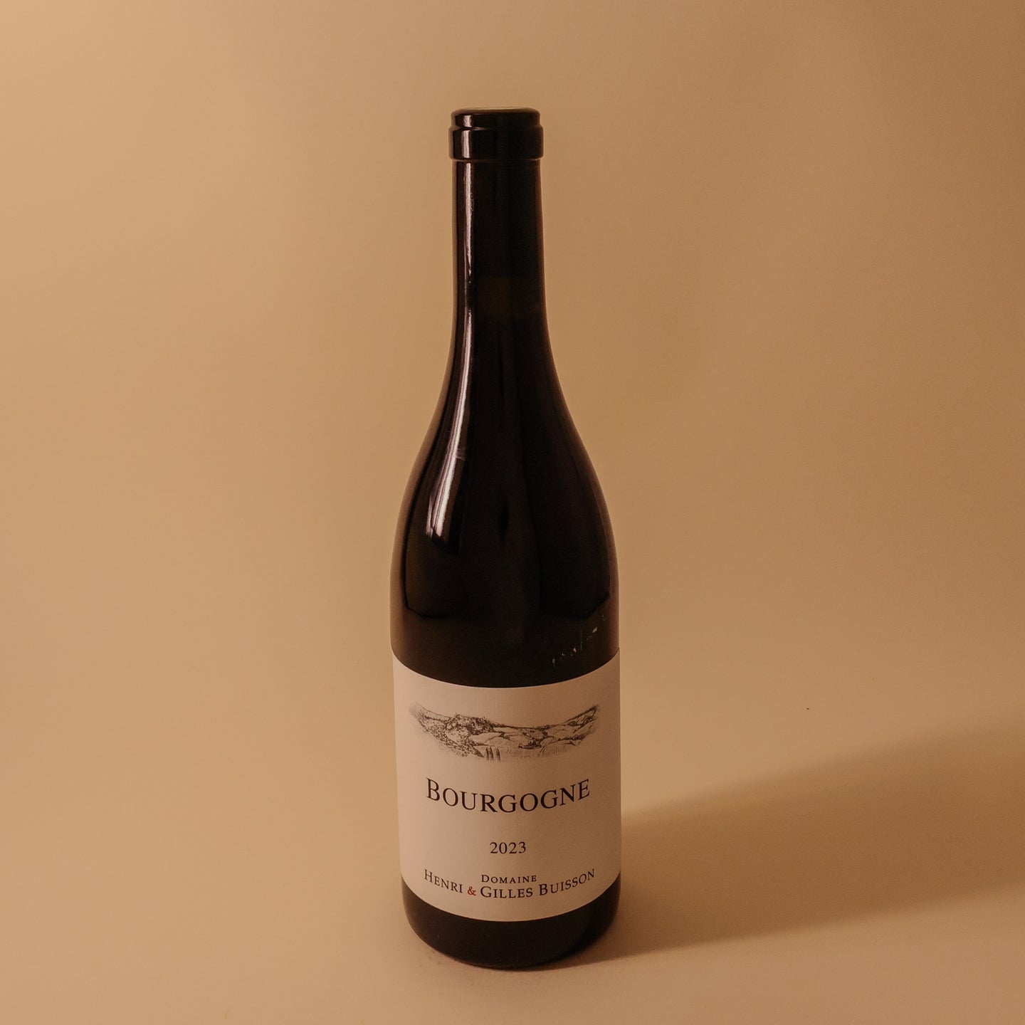 2023 Domaine Henri & Gilles Buisson, Bourgogne Rouge