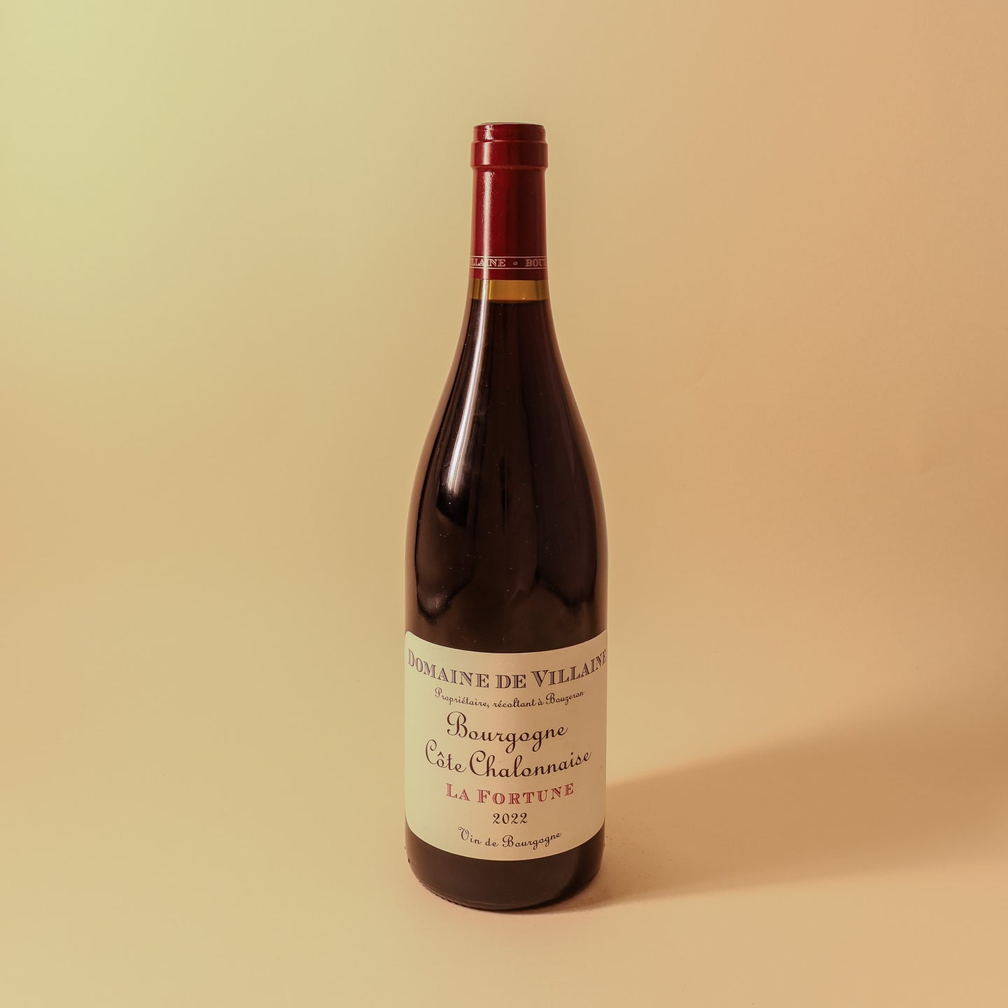 2022 Domaine de Villaine, Bourgogne Cote Chalonnaise, La Fortune