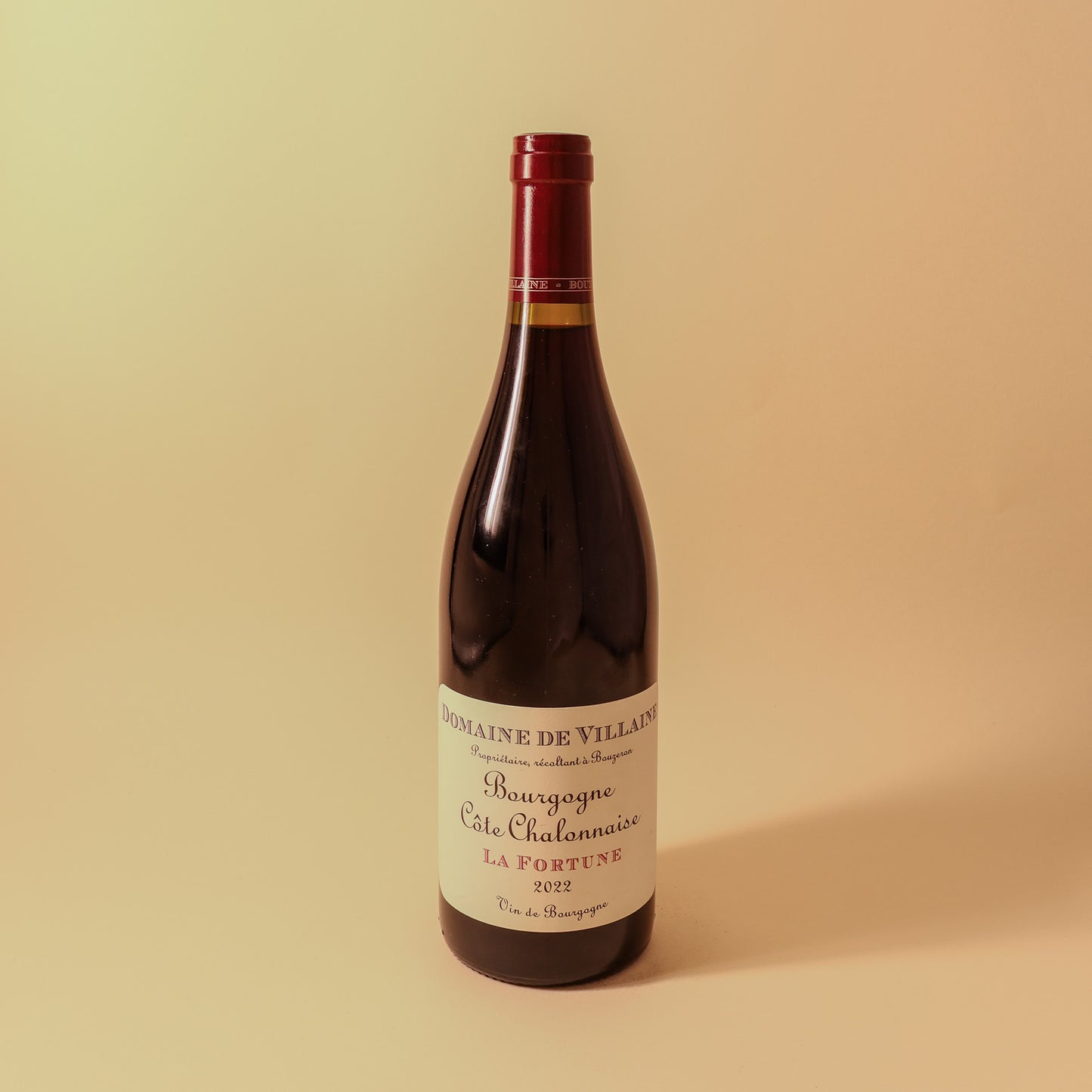 2022 Domaine de Villaine, Bourgogne Cote Chalonnaise, La Fortune