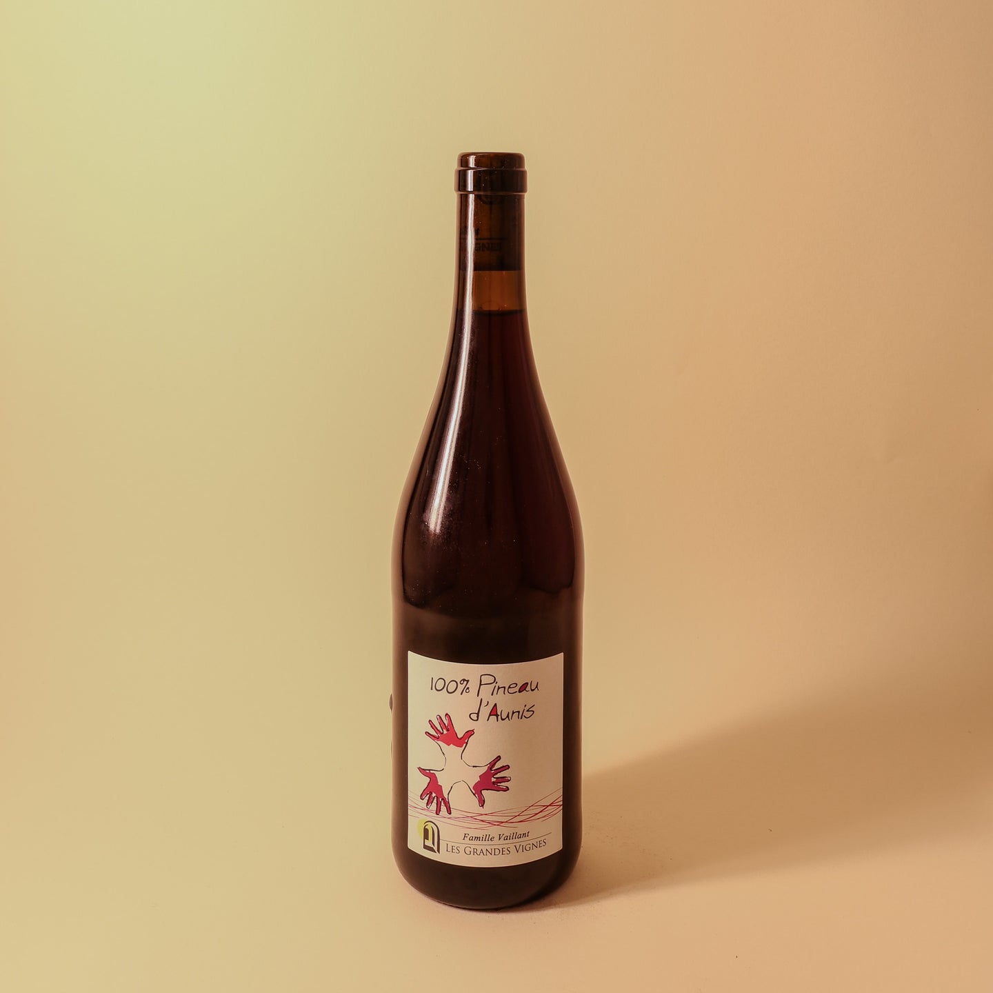 2023 Famille Vaillant, Les Grandes Vignes, Pineau d'Aunis, VdF