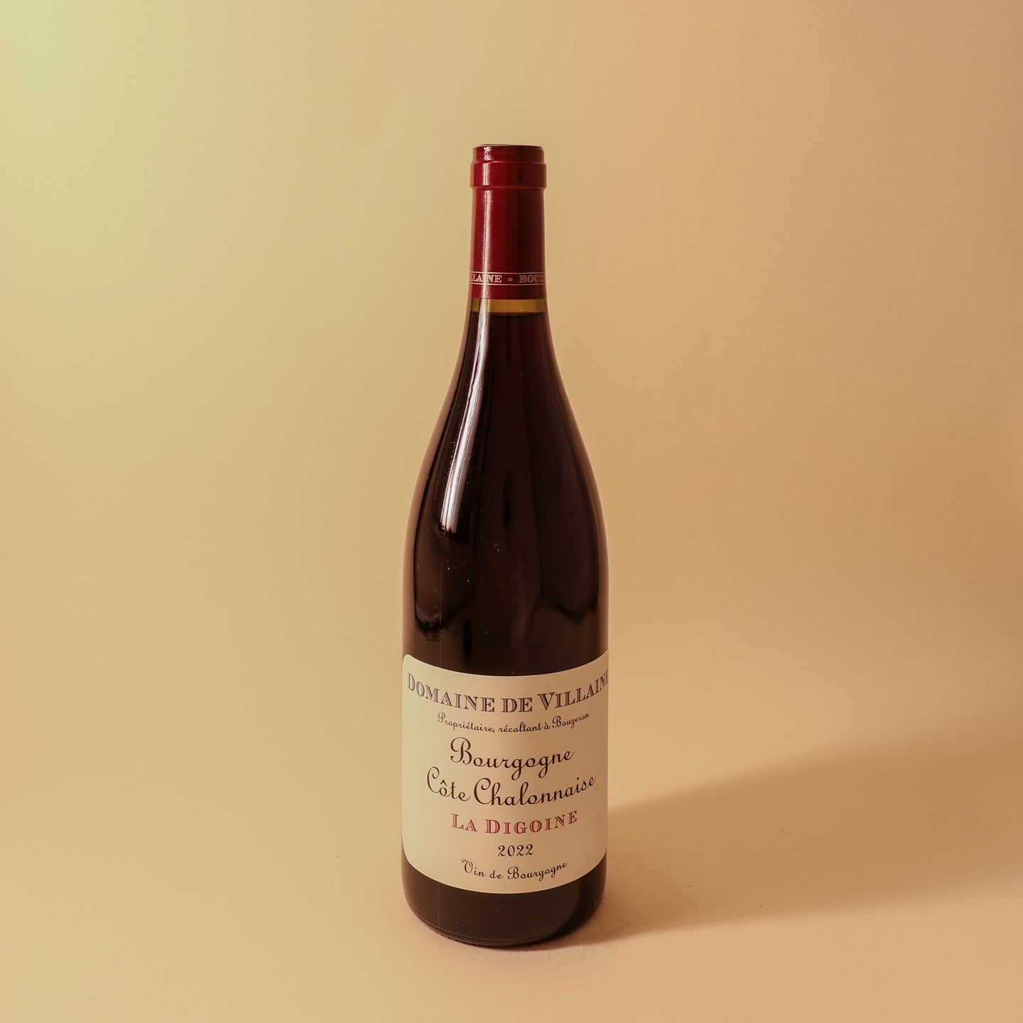 2022 Domaine de Villaine, Bourgogne Cote Chalonnaise, La Digoine