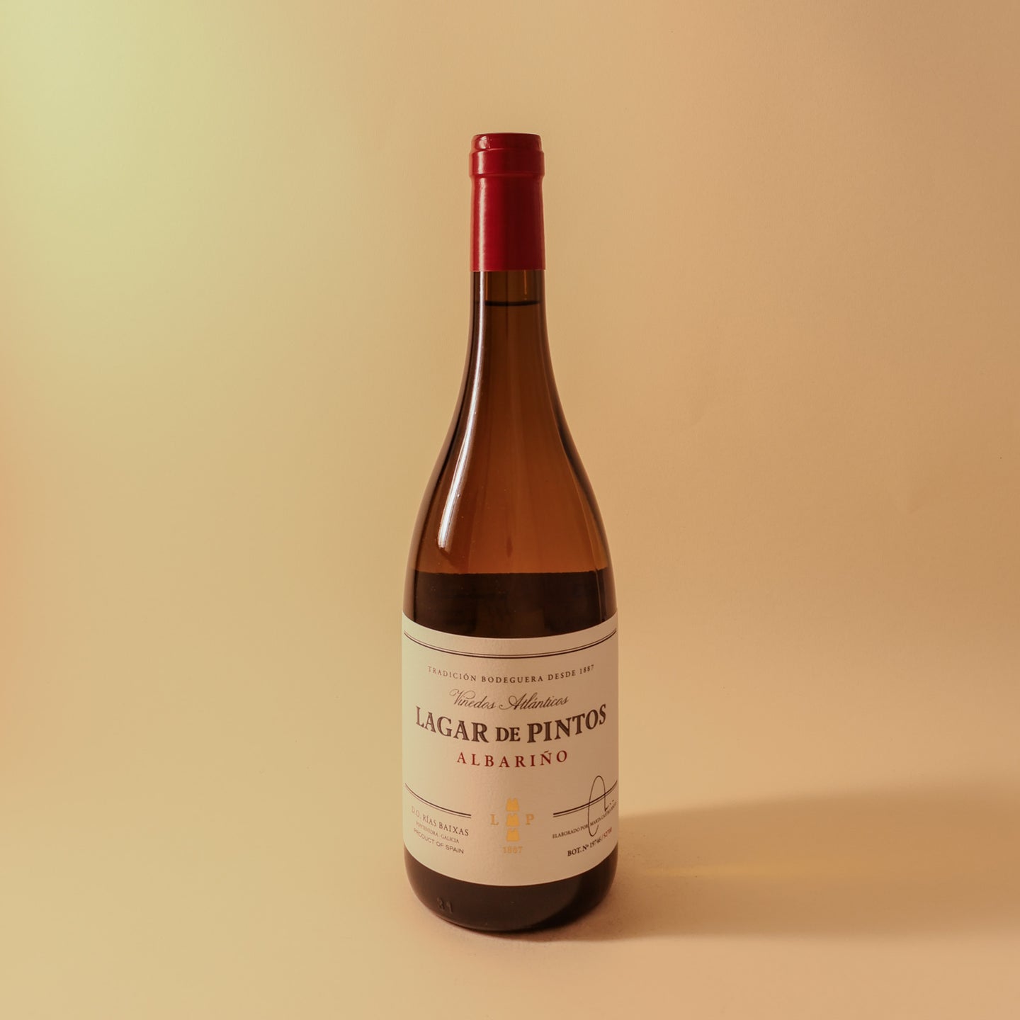 2023 Lagar de Pintos, Rias Baixas, Albarino