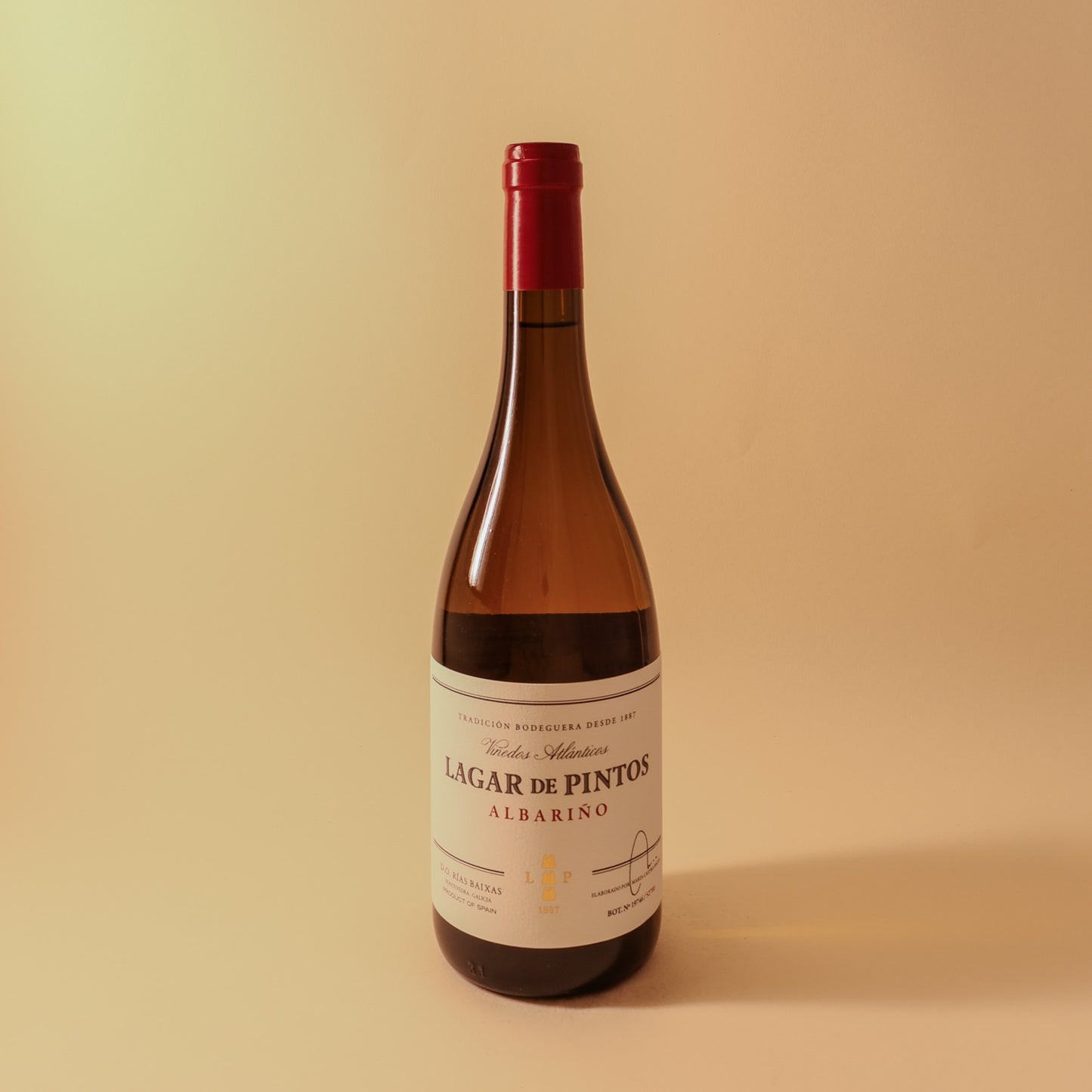 2023 Lagar de Pintos, Rias Baixas, Albarino