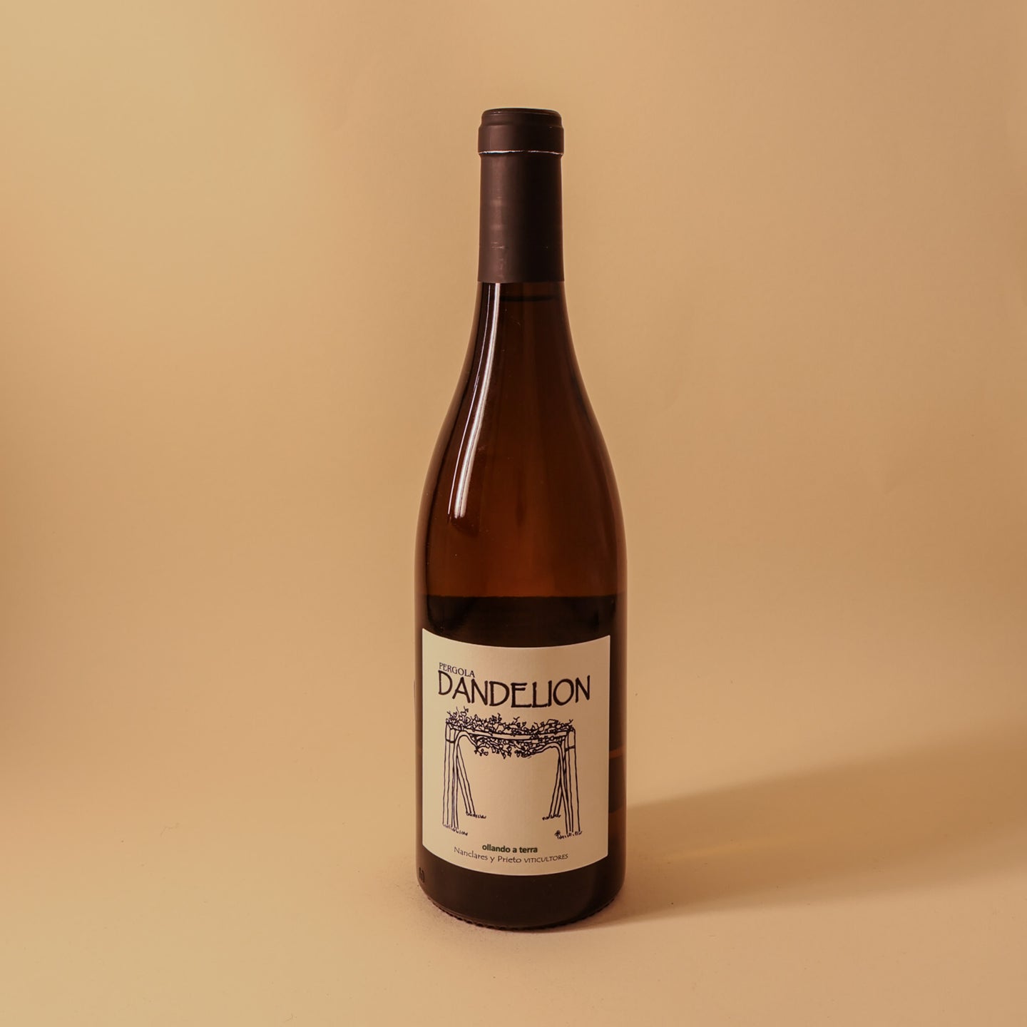 2024 Nanclares, Rias Baixas, Dandelion Albarino