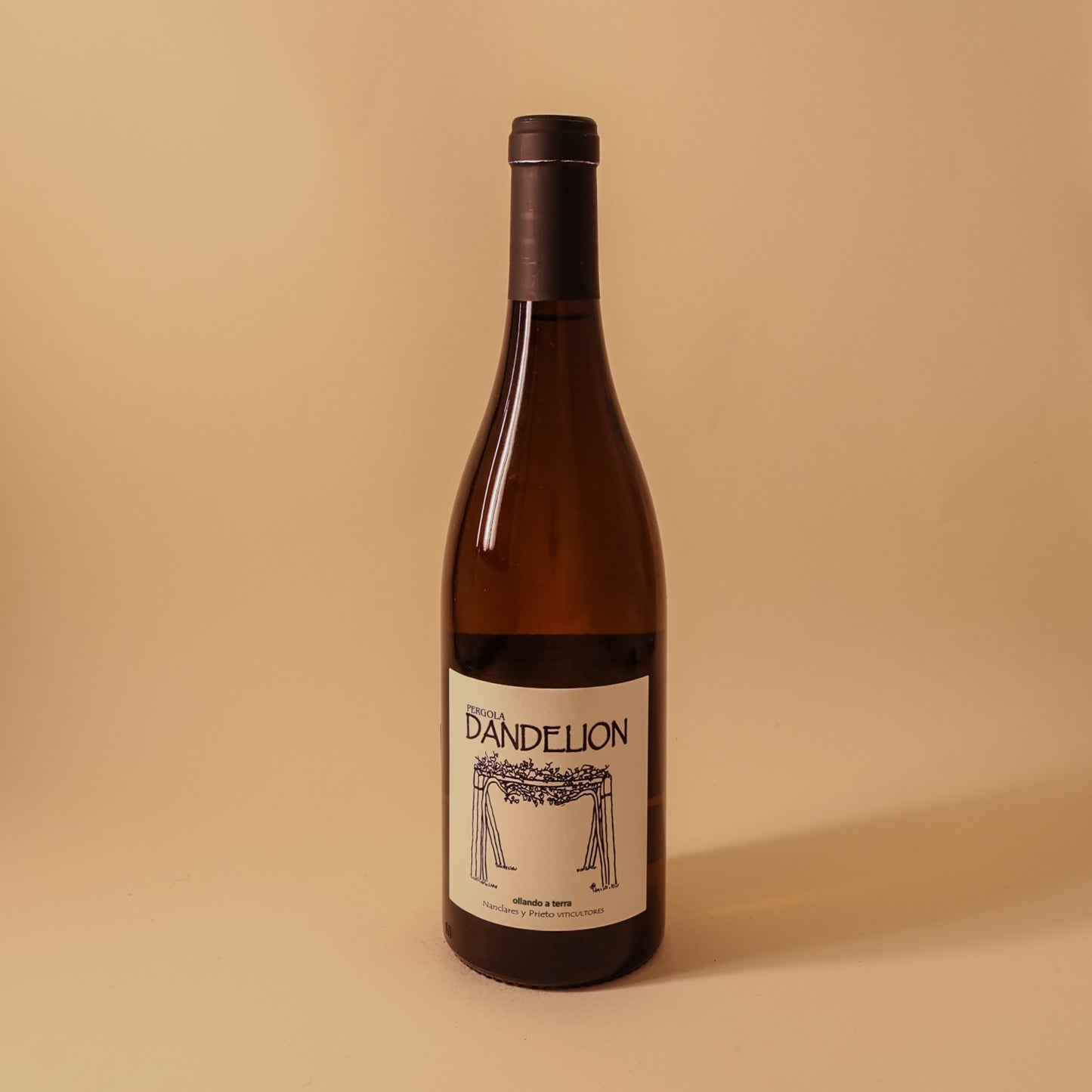 2024 Nanclares, Rias Baixas, Dandelion Albarino