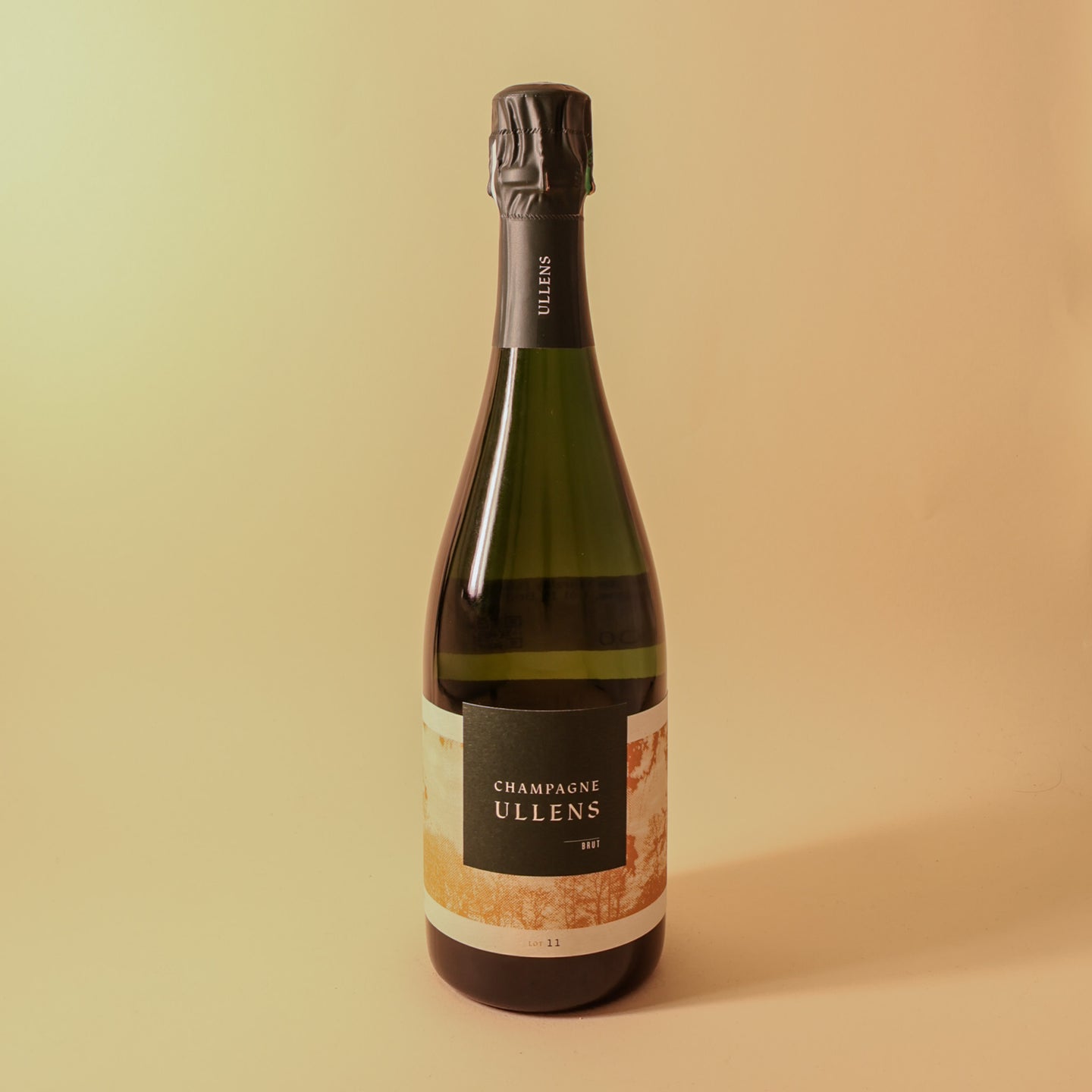 Domaine de Marzilly (Ullens), Champagne, Lot 11 Brut