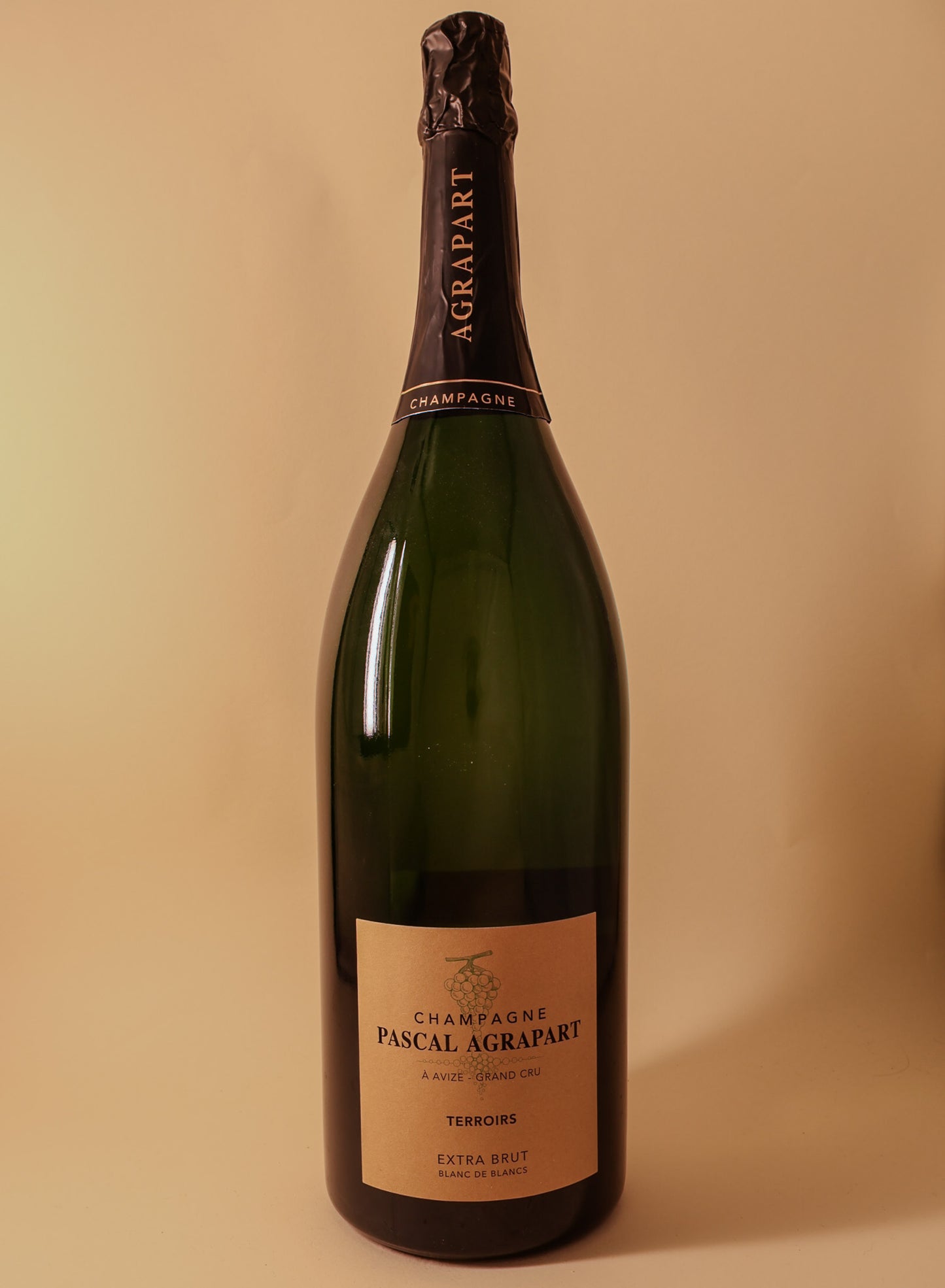 Agrapart & Fils, Champagne, Blanc de Blancs Grand Cru, Terroirs (19/20/21) Extra Brut - Double Magnum