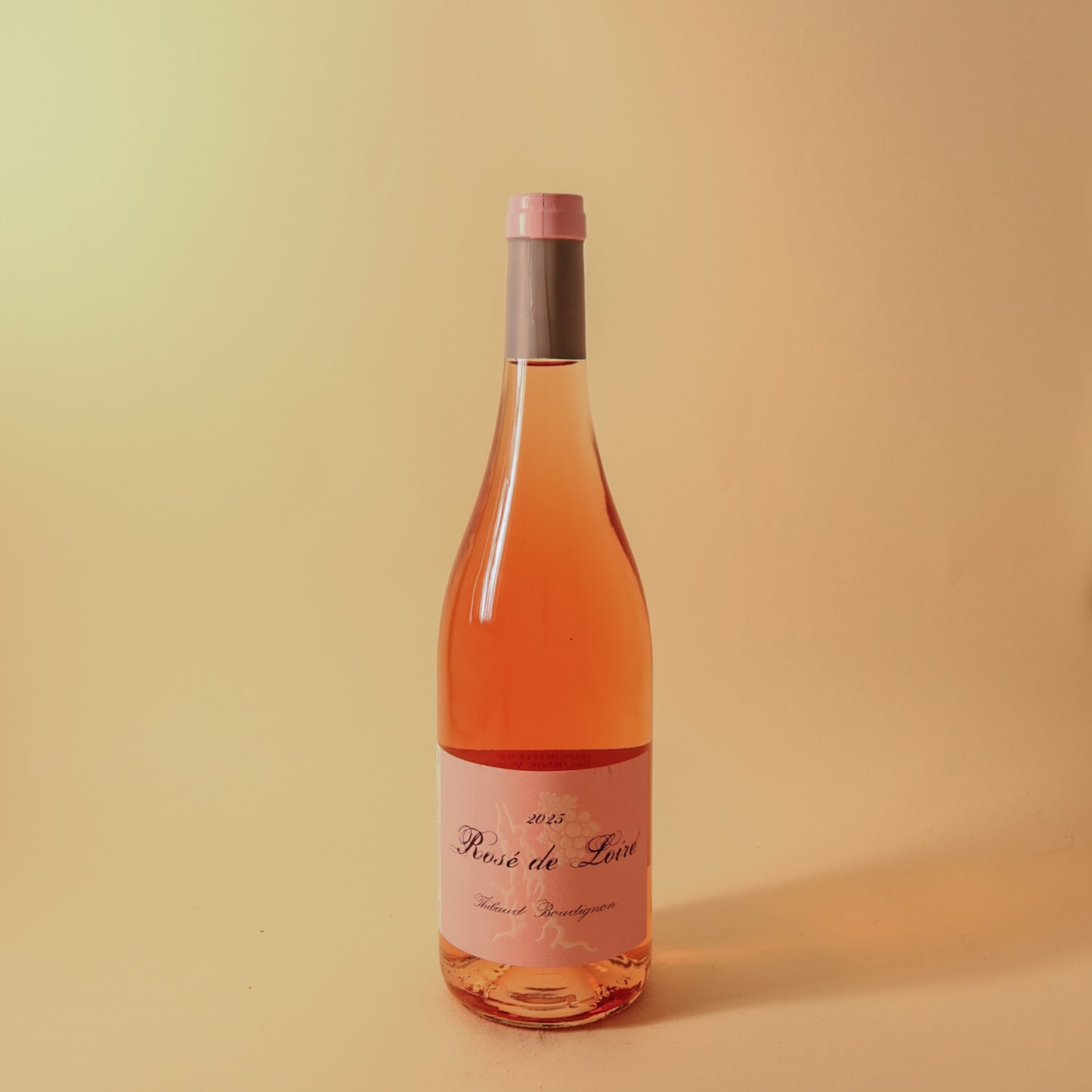 2025 Thibaud Boudignon, Rose de Loire