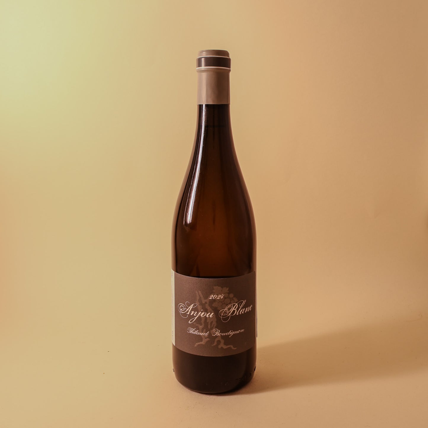2024 Thibaud Boudignon, Anjou Blanc