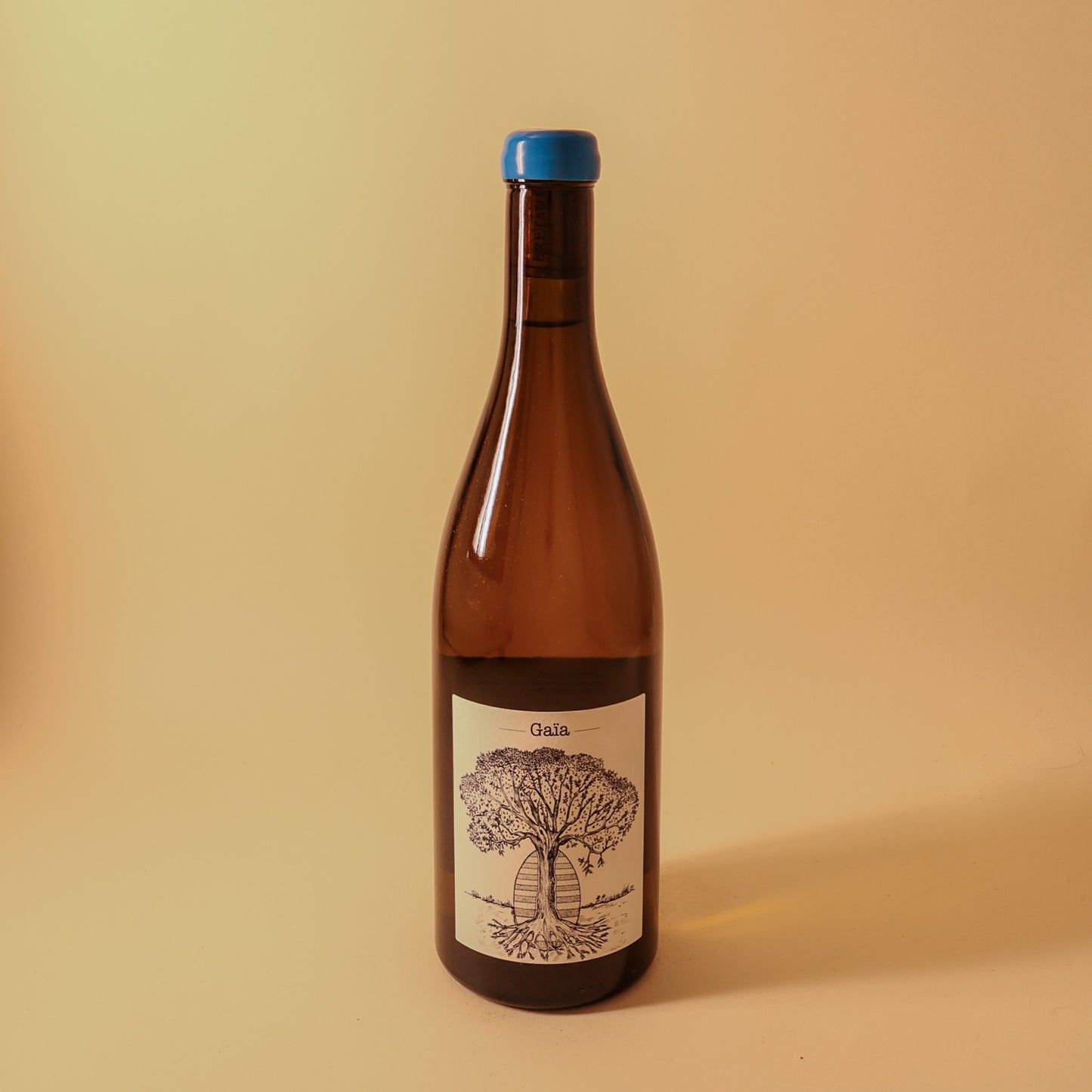 2019 Domaine de Bellevue (Jerome Bretaudeau), Muscadet, Gaia Cuvee Ovoide