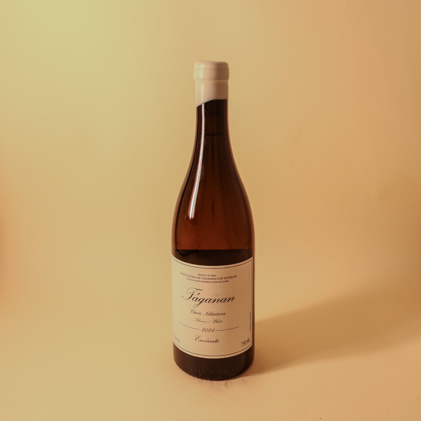 2024 Envinate, Tenerife, Taganan Blanco