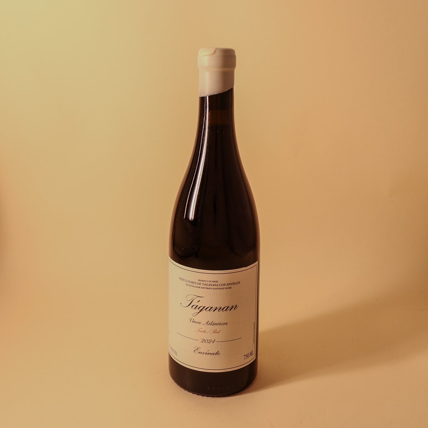 2024 Envinate, Tenerife, Taganan Tinto