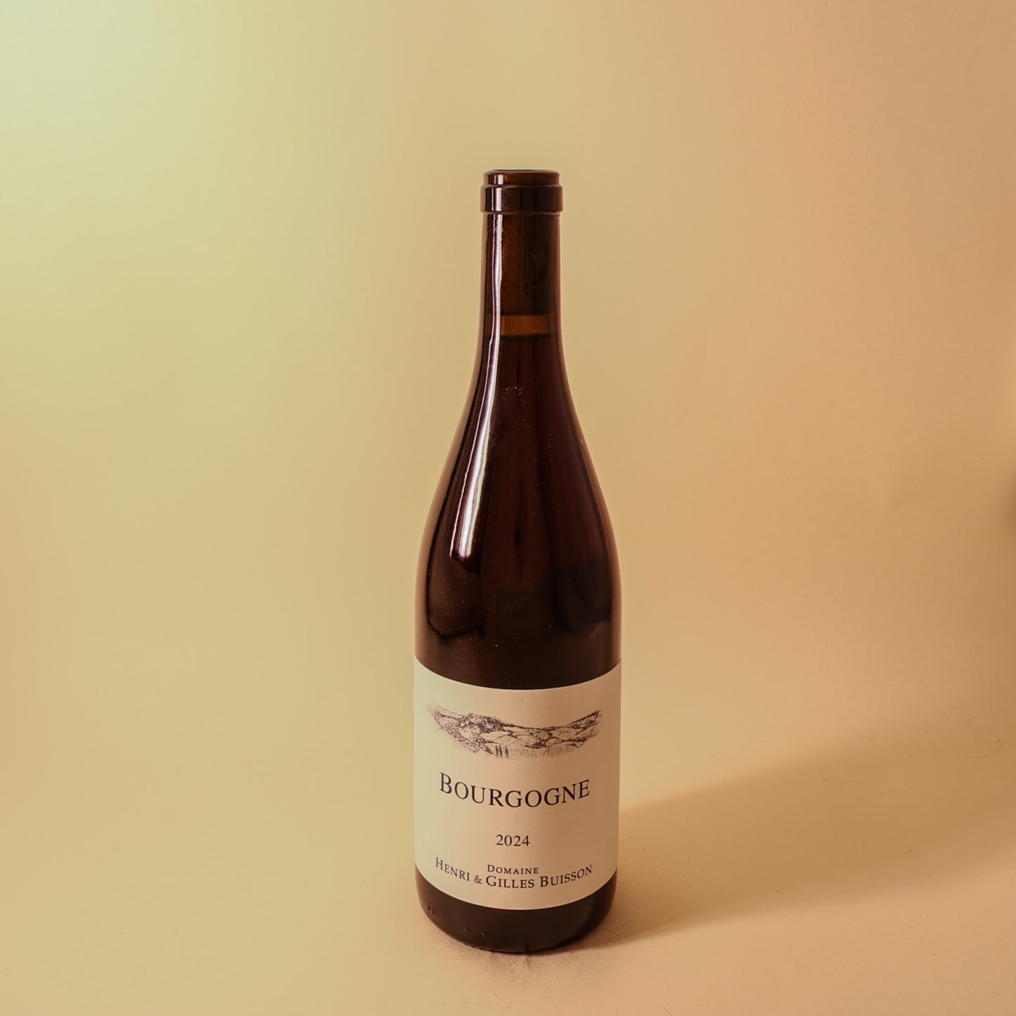 2024 Domaine Henri & Gilles Buisson, Bourgogne Rouge