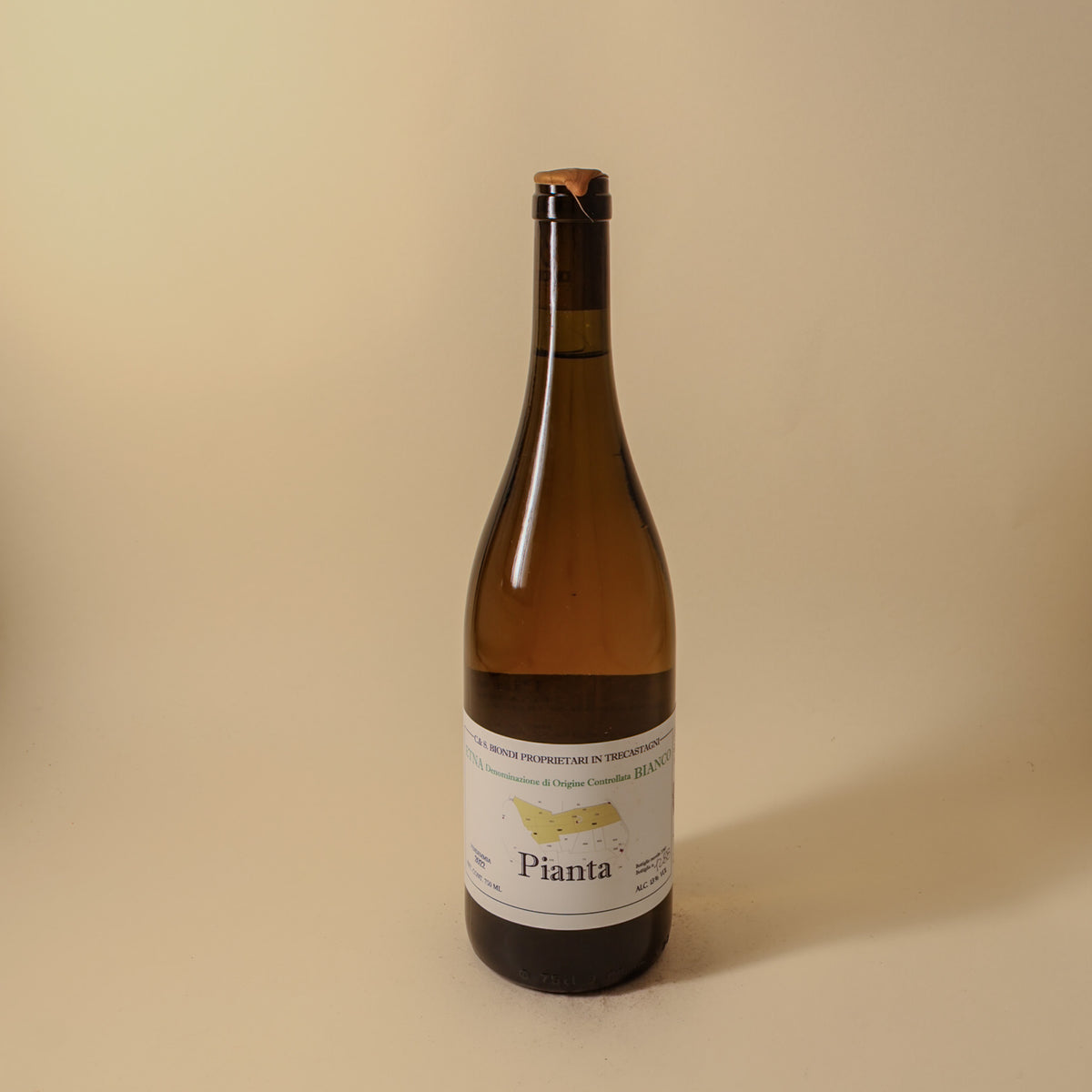 2022 Ciro Biondi, Etna Bianco, Pianta