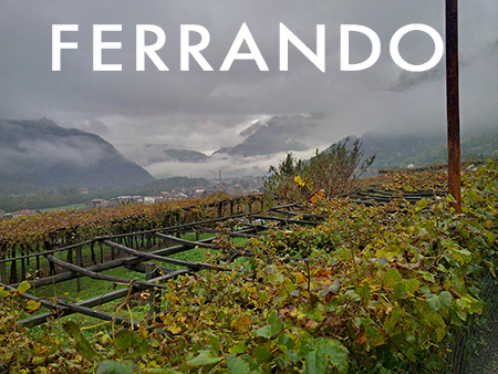 2016 Ferrando Carema  Bottled Magic from the King of the North